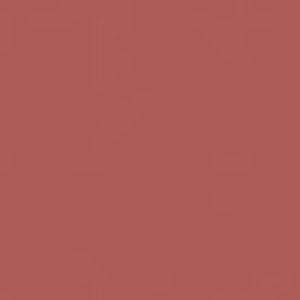 Meet your Posher, Ava